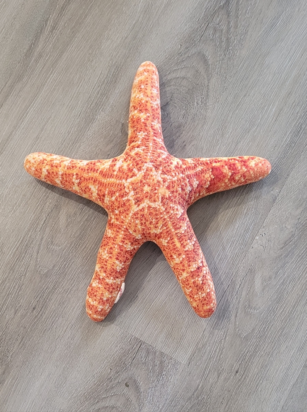 Starfish Plush